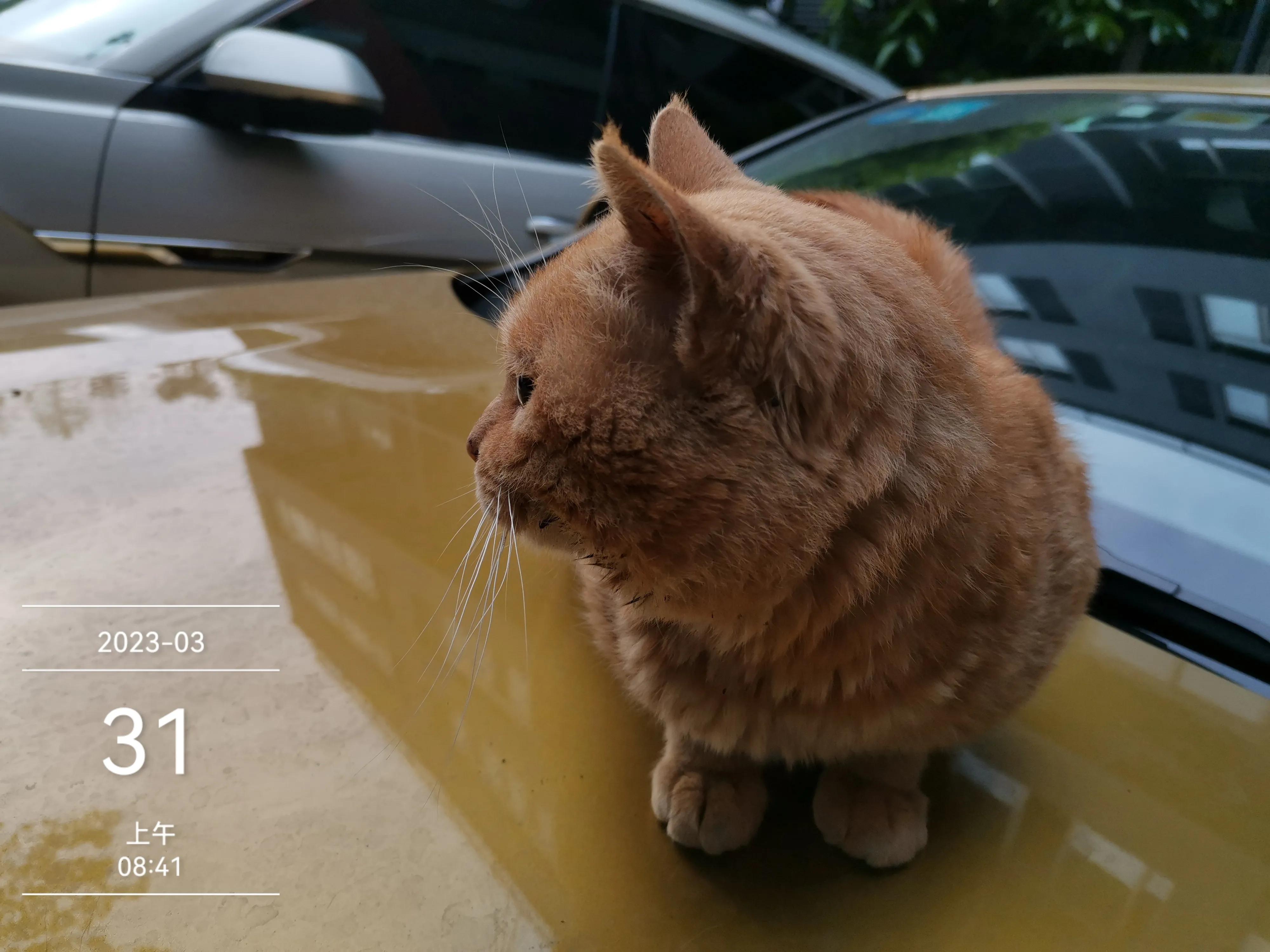 正在愁文章没有阅读量的朋友今天晚上何不到大街上压压马路