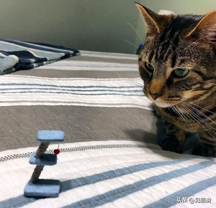 搞笑网上购物物品 (史上最搞笑的淘宝商品)