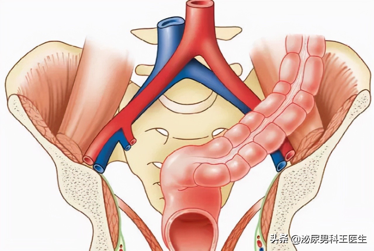 肛门瘙痒潮湿有分泌物怎么治疗,肛门潮湿还痒是什么症状