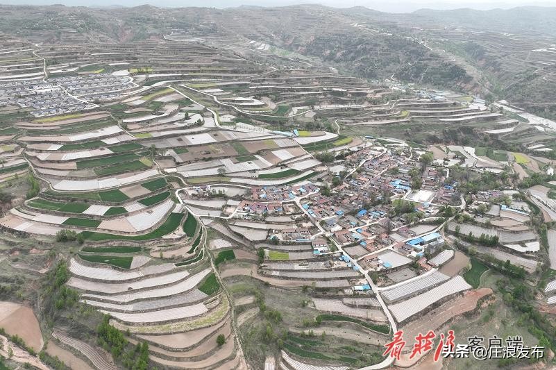 三抓三促行动取得了哪些成效,三抓三促引领乡村振兴