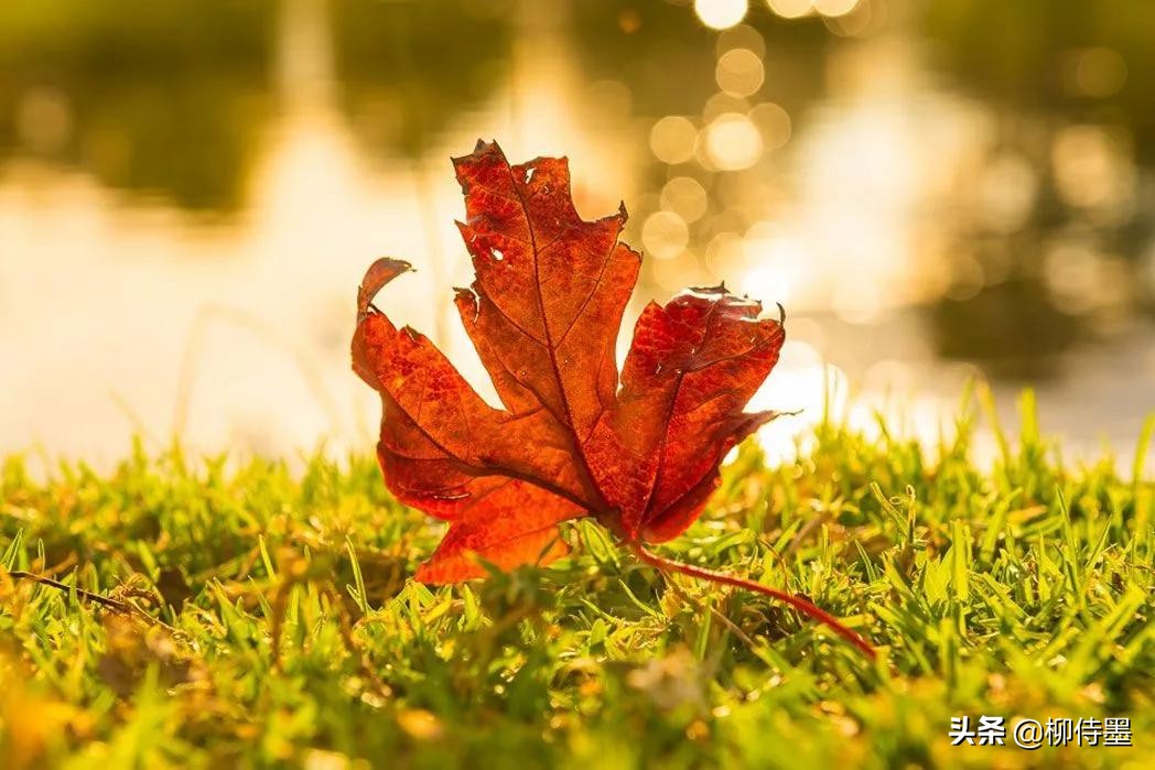 照片拍出来难看怎么修图,照片不能瞎拍