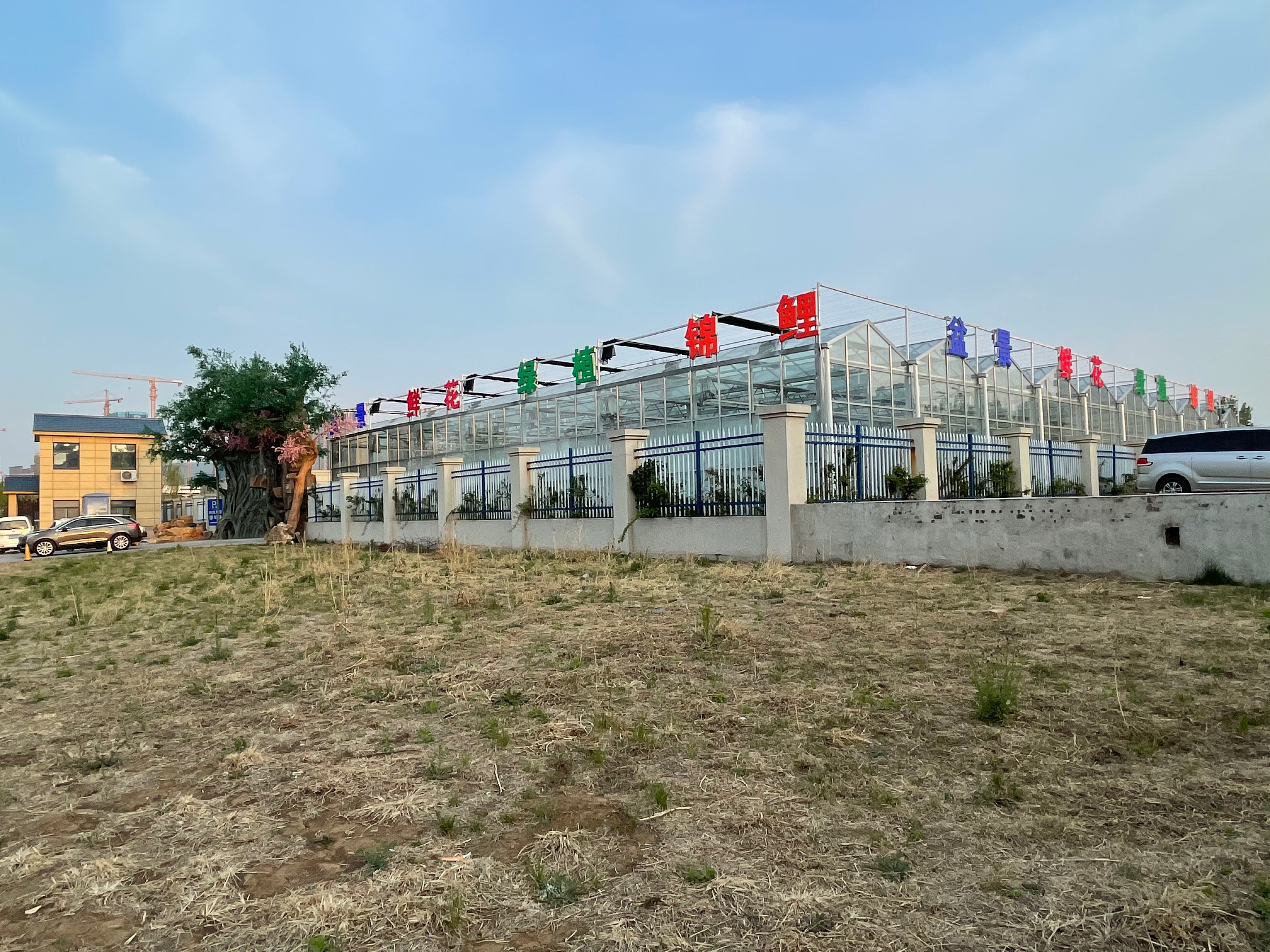 赏花、购花、娱乐，市民自家的小菜园，玉合赢花园中心挺棒