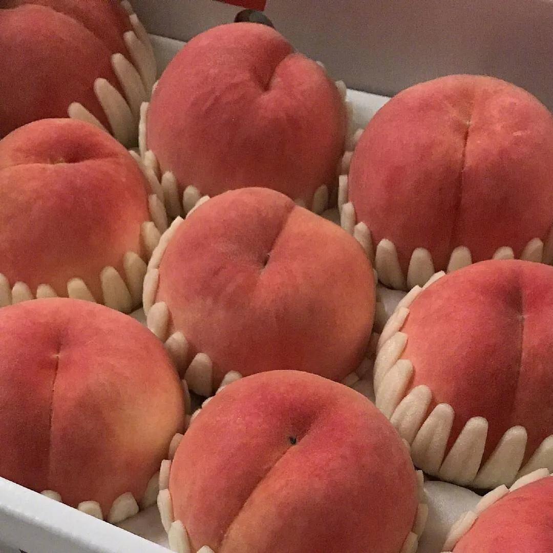 突然看清人和事的微信背景图,微信背景图暗示嘴笨高级感