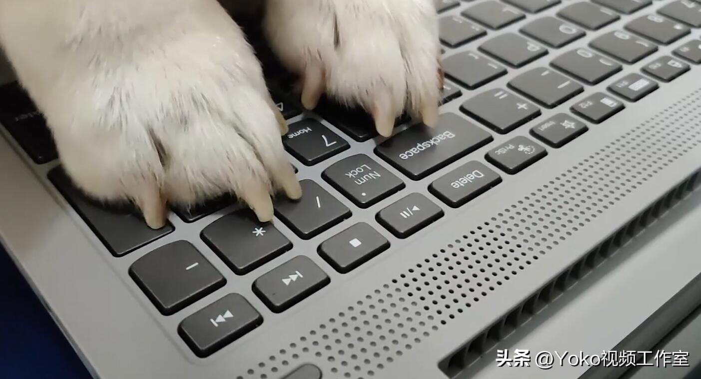 买笔记本翻车了怎么办,买电脑翻车几率大概有多大