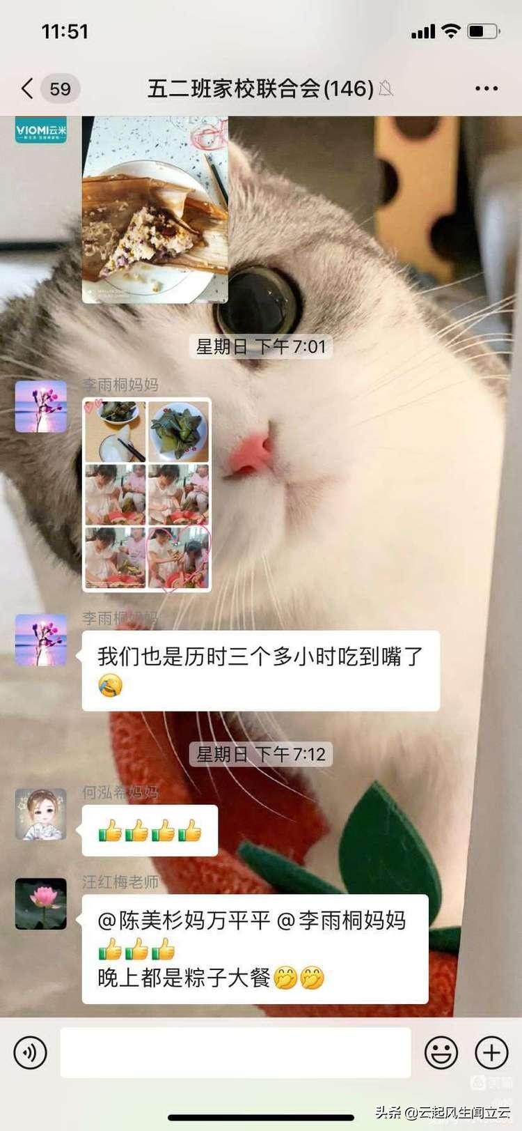 端午粽班级活动,粽情端午欢聚一堂文艺活动