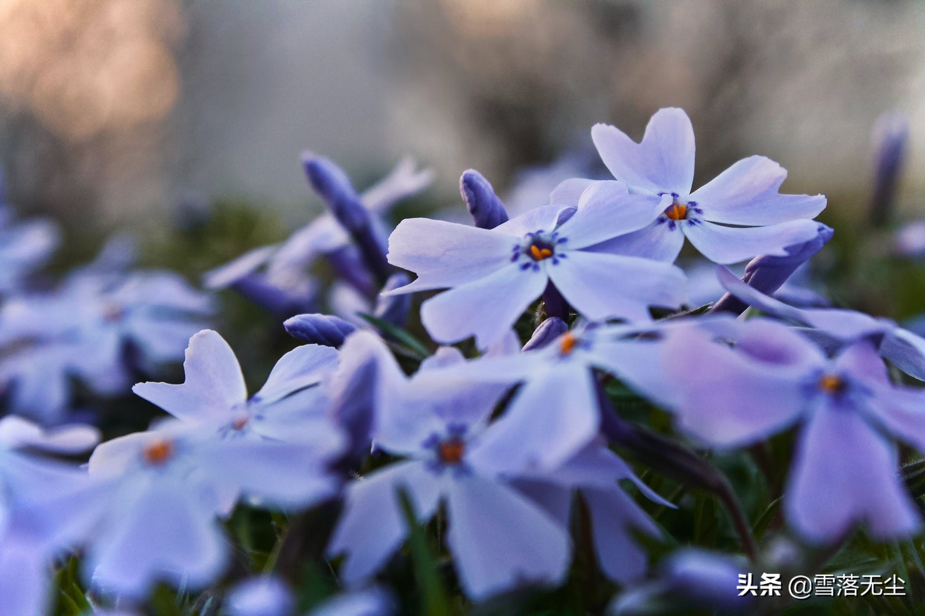 嫁错人了不要回头,女人可以走错路但不能嫁错人