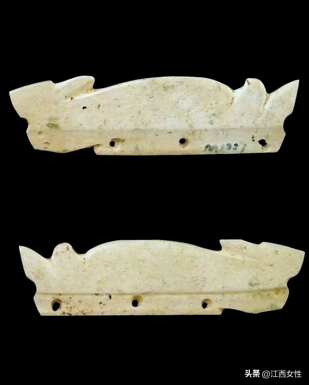 原来，你是这样的兔兔！