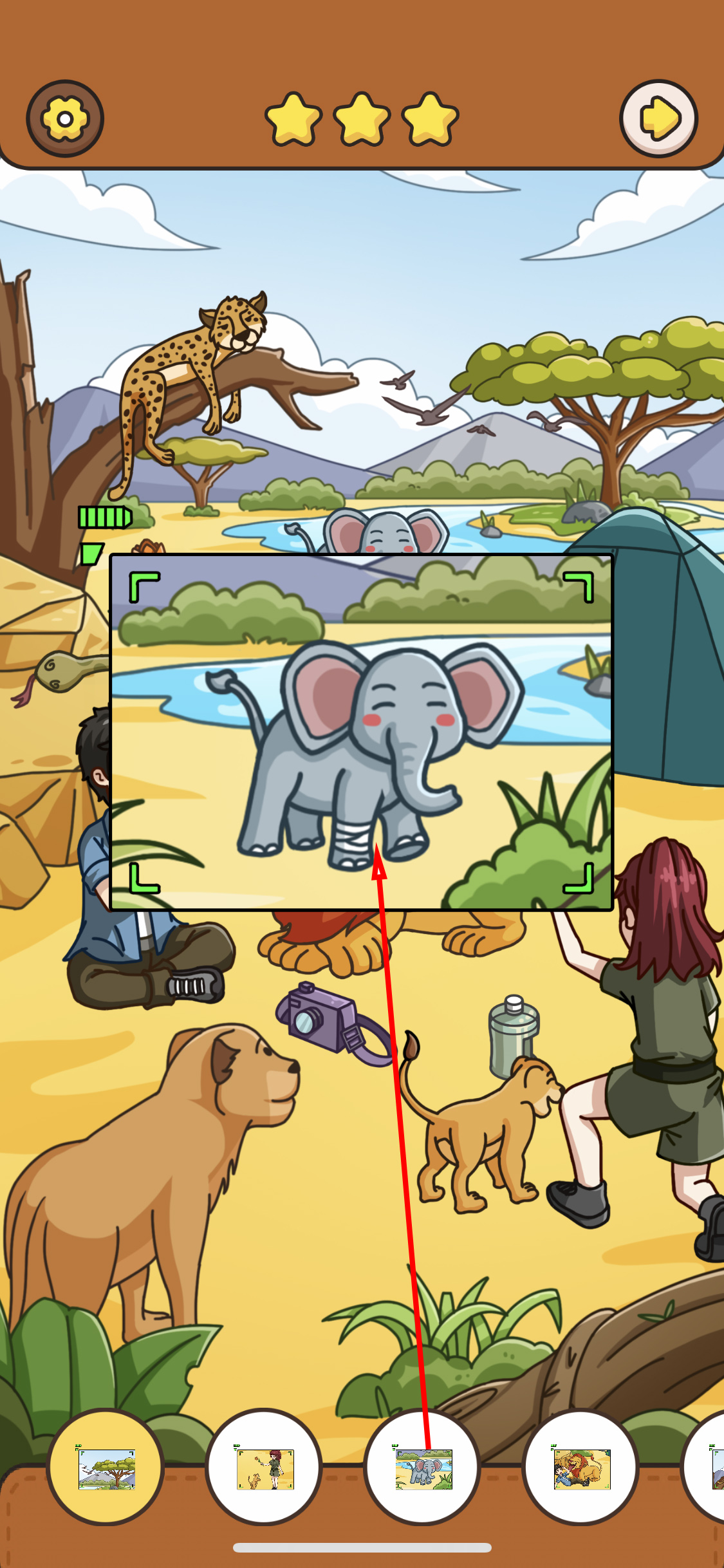 我眼神儿贼好！重返非洲攻略