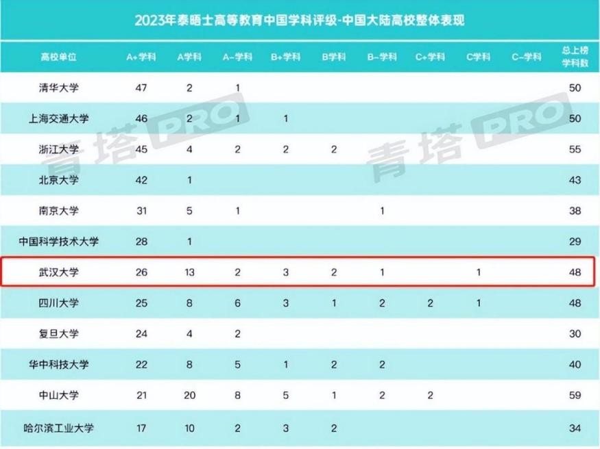 江湖风云起，群英临天下！看百卅武大，横刀立马，仗剑天涯！