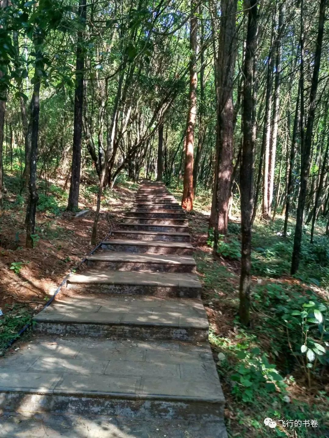 攀普洱天壁山之西门崖子：一日凌云出，群山齐失自高心