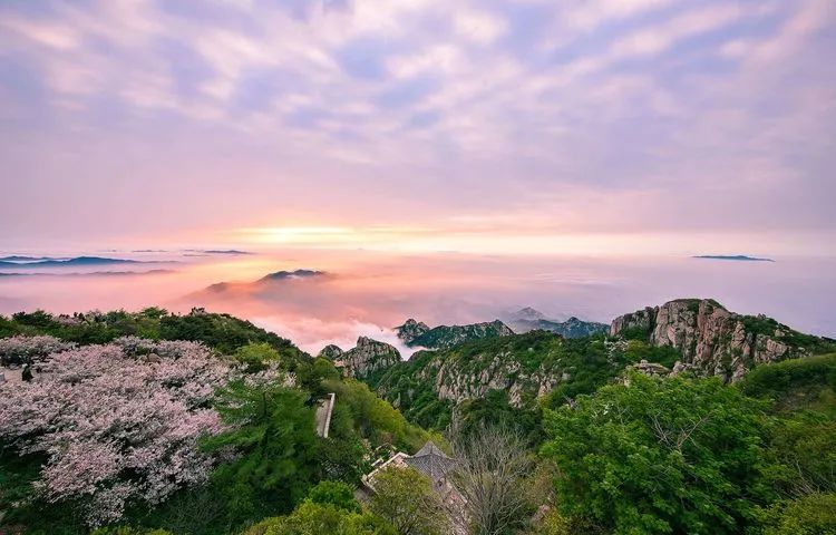 泰山平安年卡怎么比门票便宜,泰山平安年卡可以去哪些景点