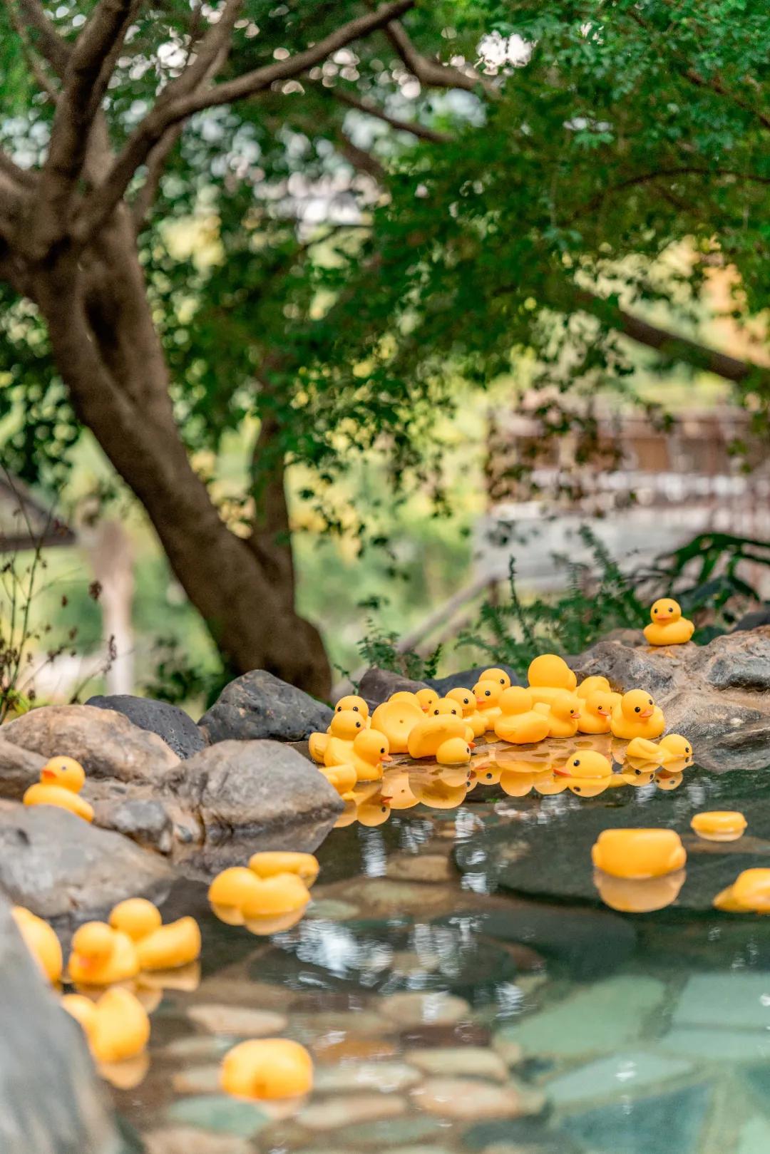 云南天下第一汤温泉,云南藏起来的人间仙境