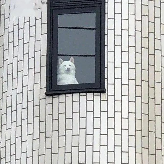 高级朋友圈背景图男,高级朋友圈背景图治愈