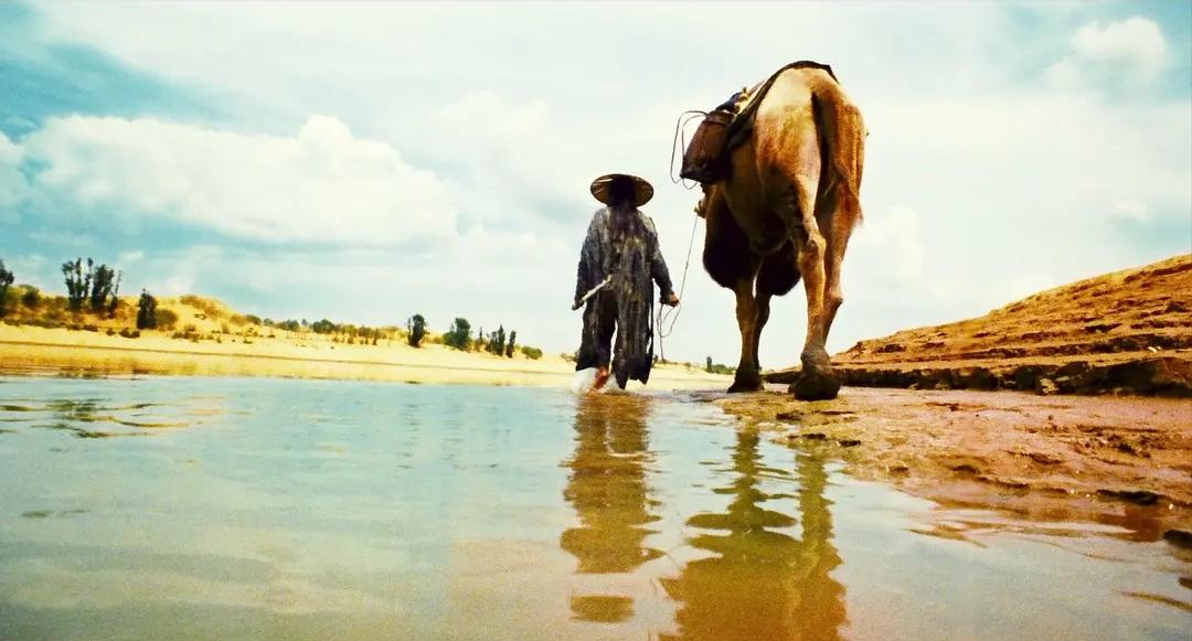 蜀山传电影实力排行,蜀山传为什么被评为烂片