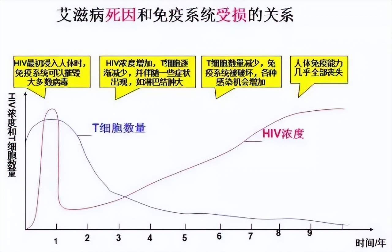 生物高中知识点免疫调节,高中生物免疫调节精讲视频