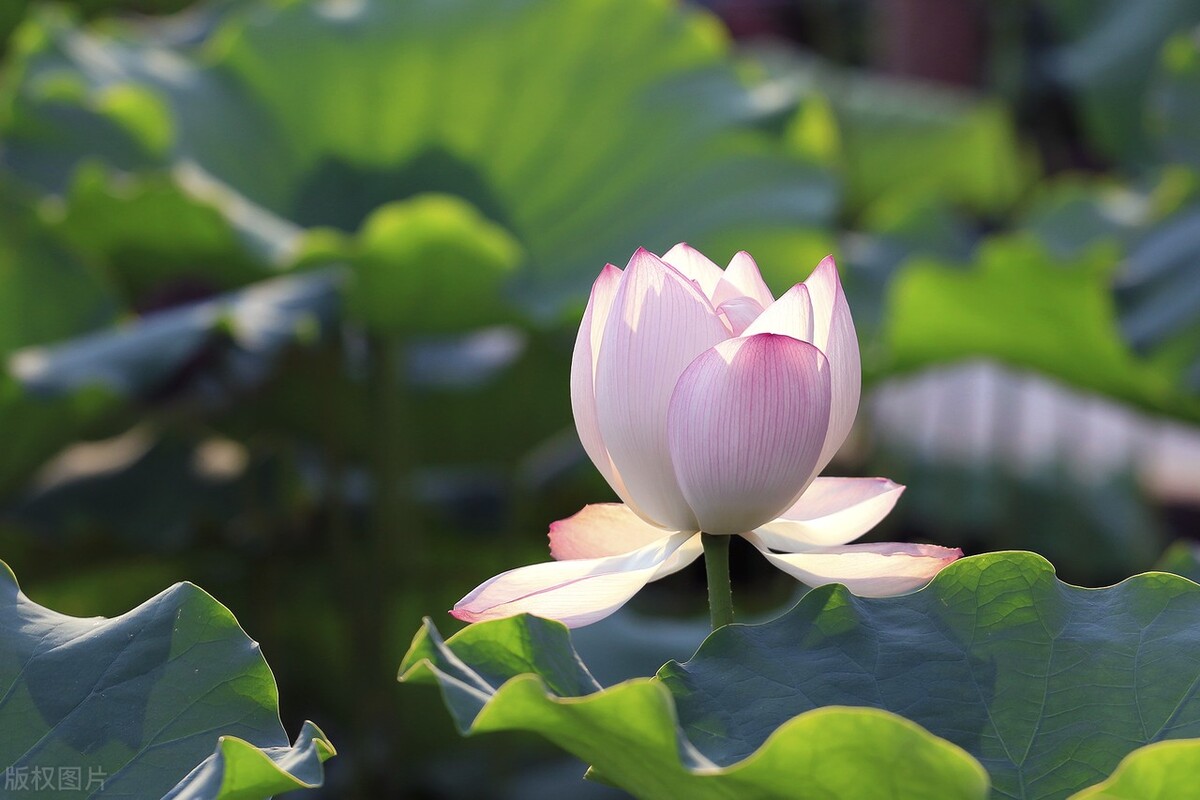 高中一年级基础差如何补习,高中数学基础差刷题推荐