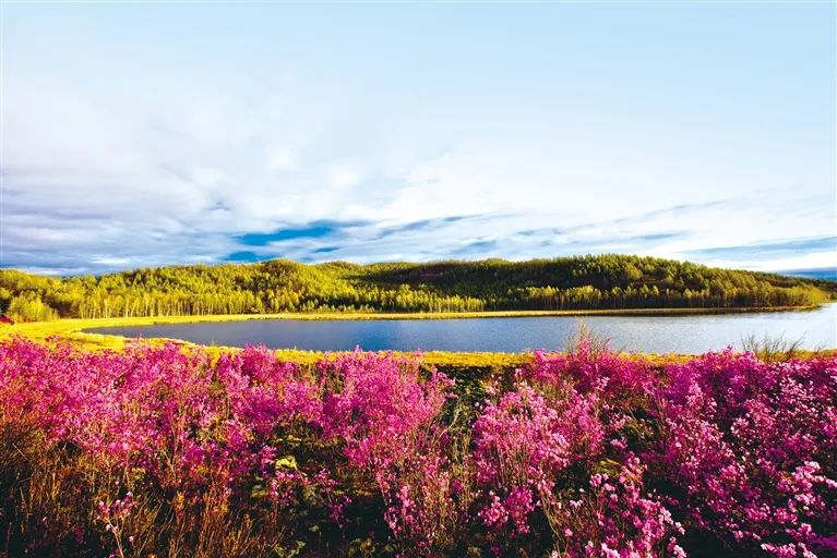 媒体聚焦｜提标提效提速创业创新创优——奋力谱写新时代呼伦贝尔文旅高质量发展精彩华章