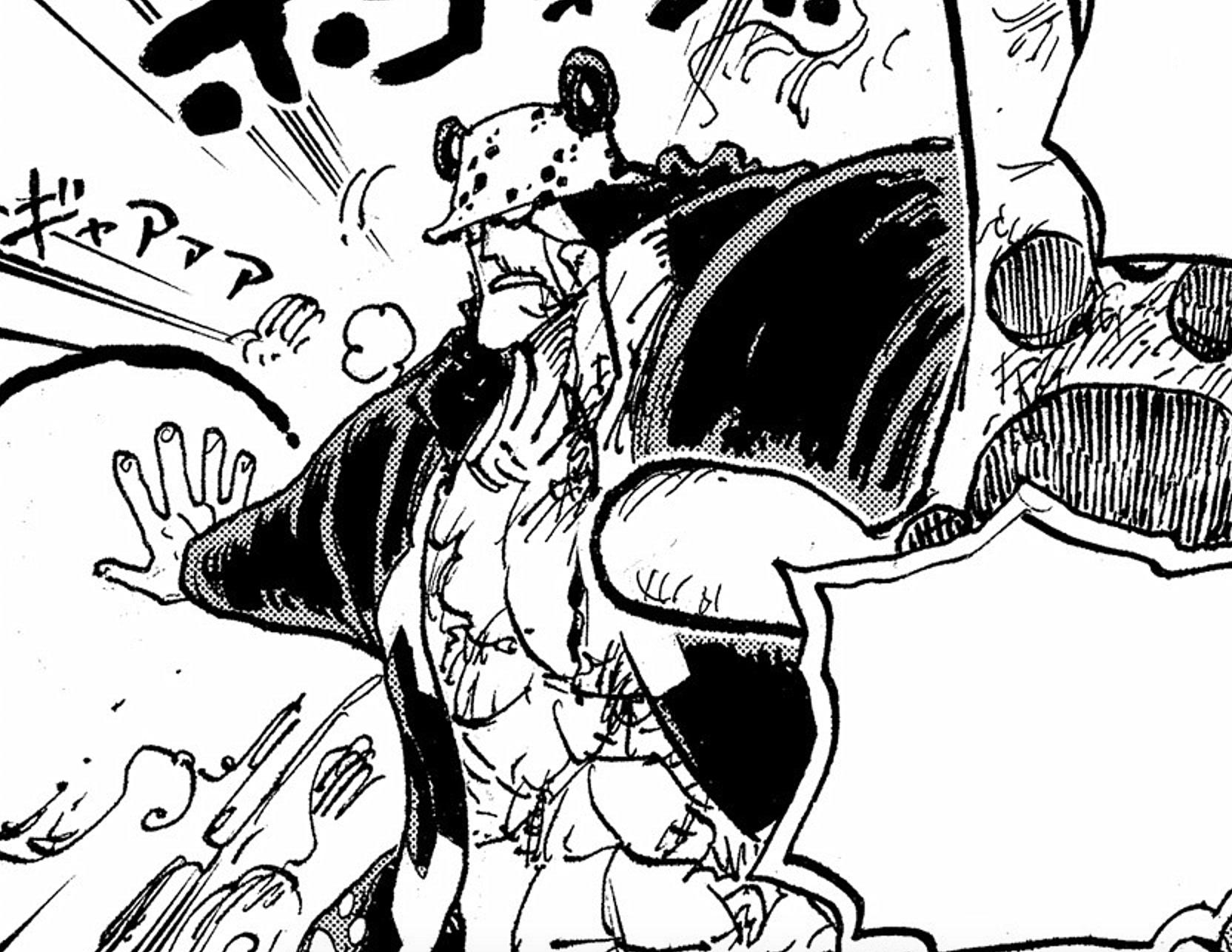 海贼王肉球果实的真正实力,海贼王肉球果实介绍