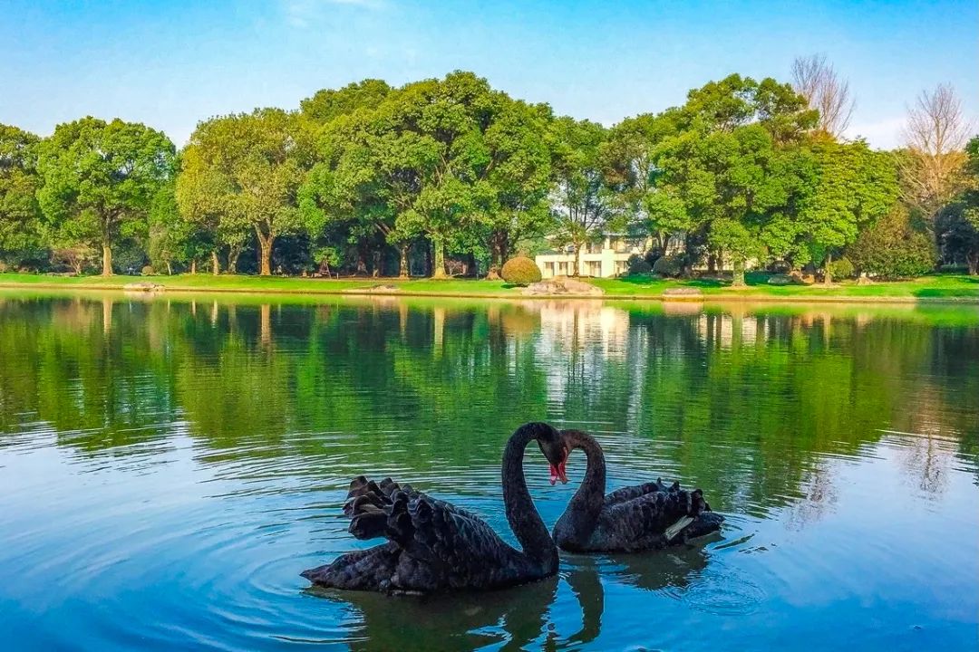 最值得入住的国宾馆推荐,最值得体验的国宾馆