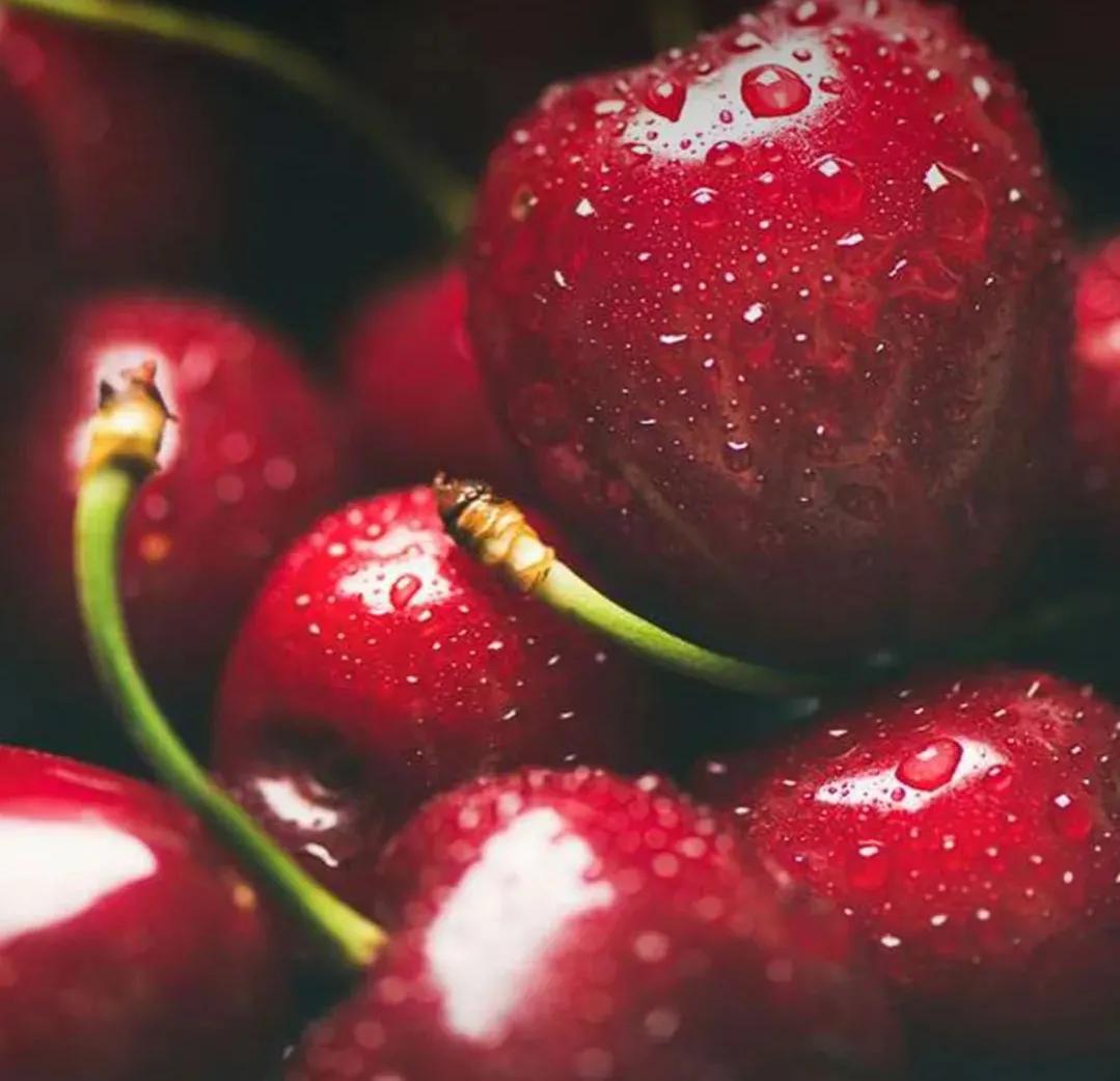 麦德龙过年十大必买清单,麦德龙最值得购买的是什么