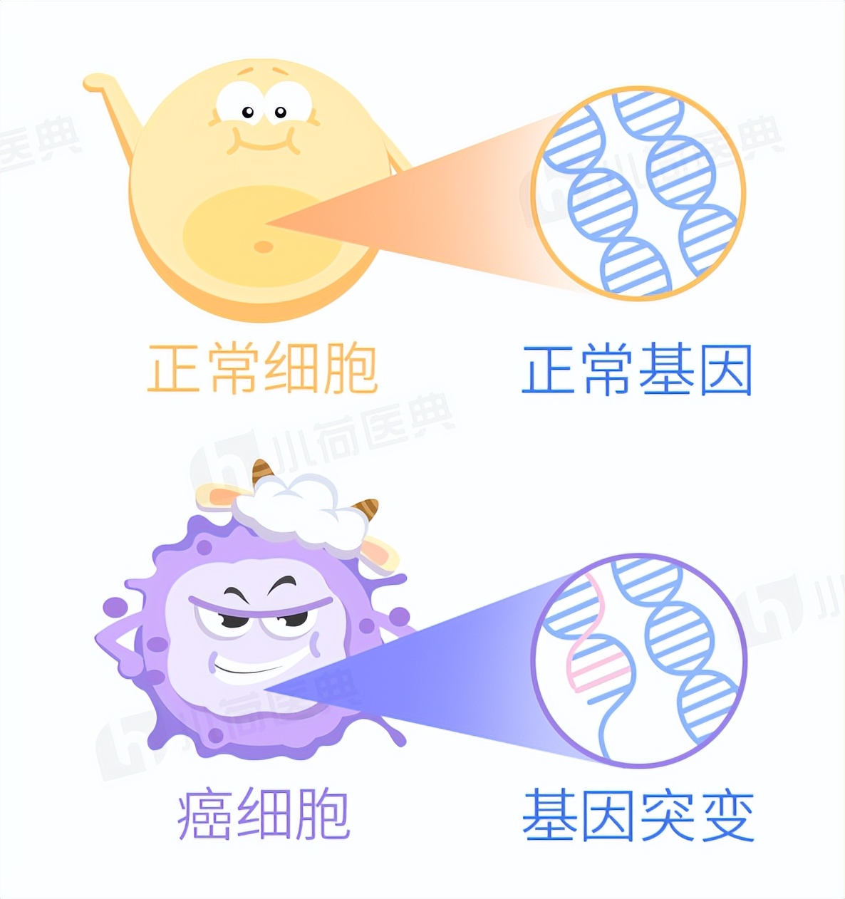 一年82万人发病65万人死亡，癌症“第一杀手”肺癌，是如何产生的