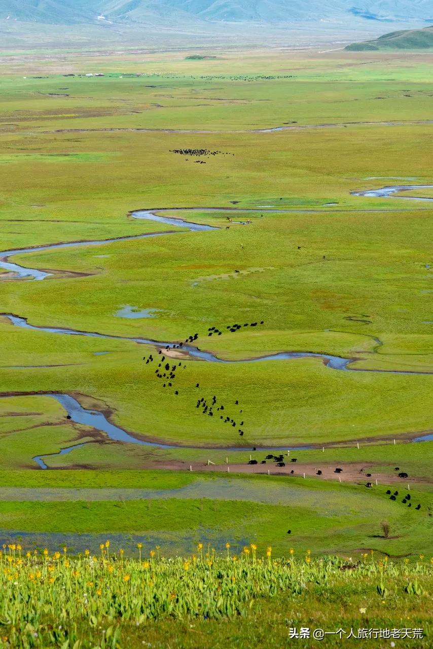 亚洲旅游胜地甘肃,甘肃被评为亚洲最佳旅游地之首