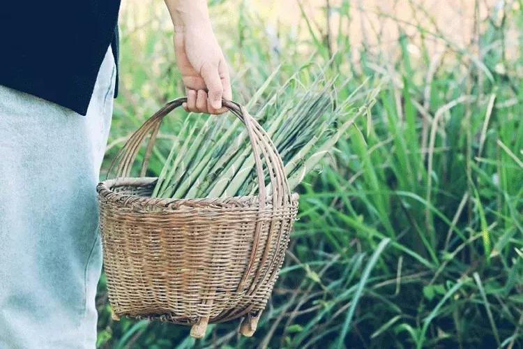 一段恋情令人绝望,一段令人难忘的恋情
