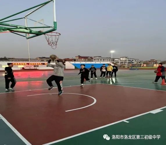 素质教育结硕果,素质教育特色学校创建实施方案