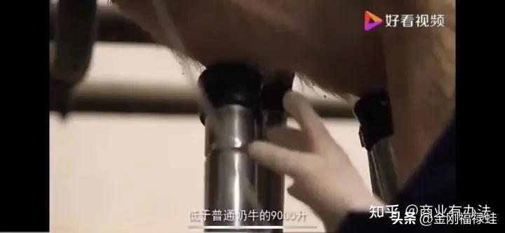 如何选择一款放心的牛奶,便宜又质量很好的牛奶有哪些