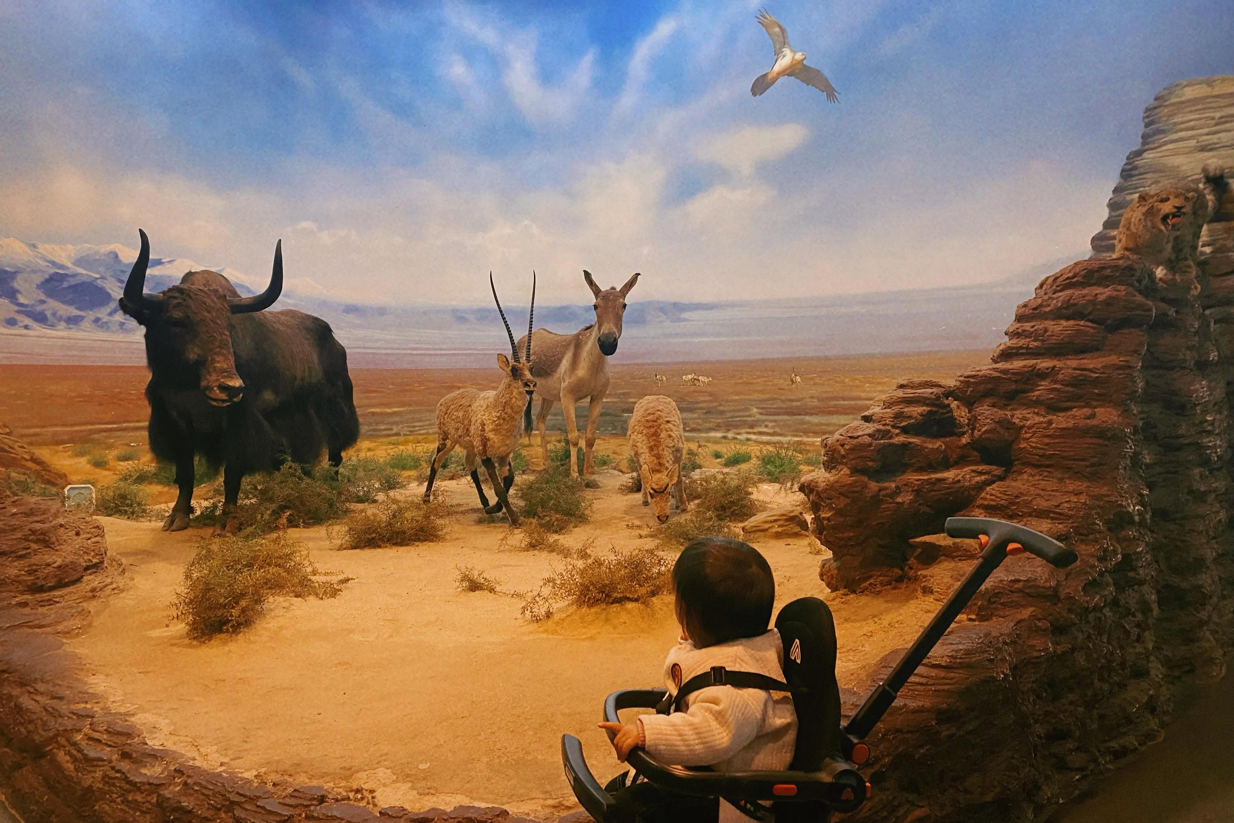 杭州博物馆与浙江博物馆哪个好,杭州博物馆和浙江博物馆