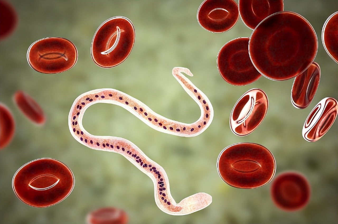 蚊子吸的血会传染艾滋病吗,蚊子叮咬艾滋病人后再叮咬正常人