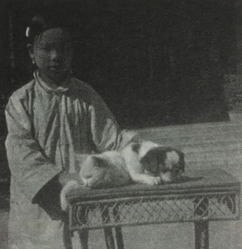 古代宫女真实都是怎么样的,古代宫女真实状态