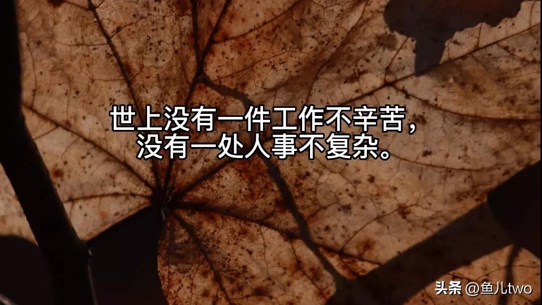 辅警四个条例两个准则心得,辅警年度考核个人总结