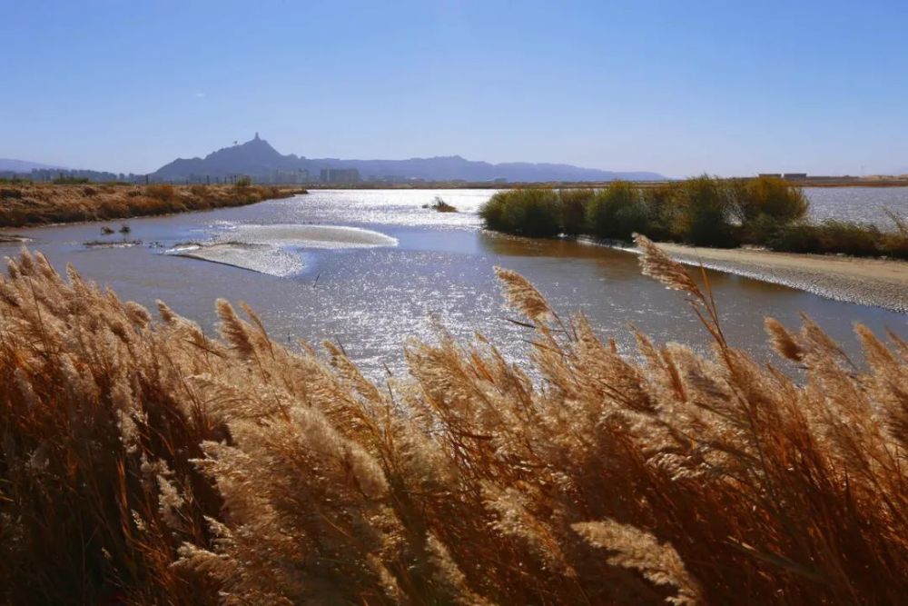 汉代黄河文化特征是什么,黄河文化对古今影响