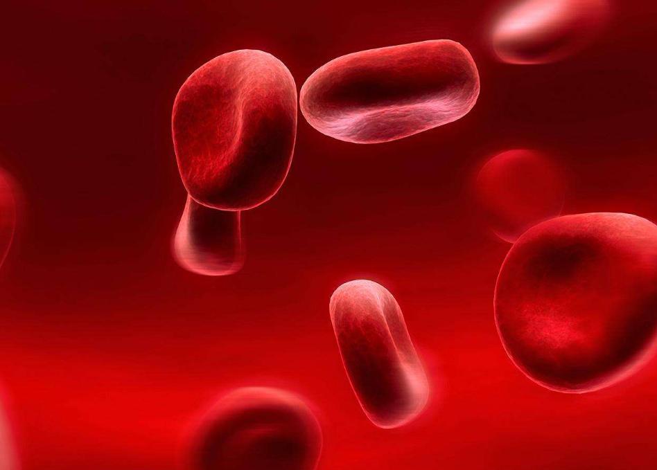 如何预防婴幼儿缺铁性贫血的发生,吃什么食物可以预防缺铁性贫血