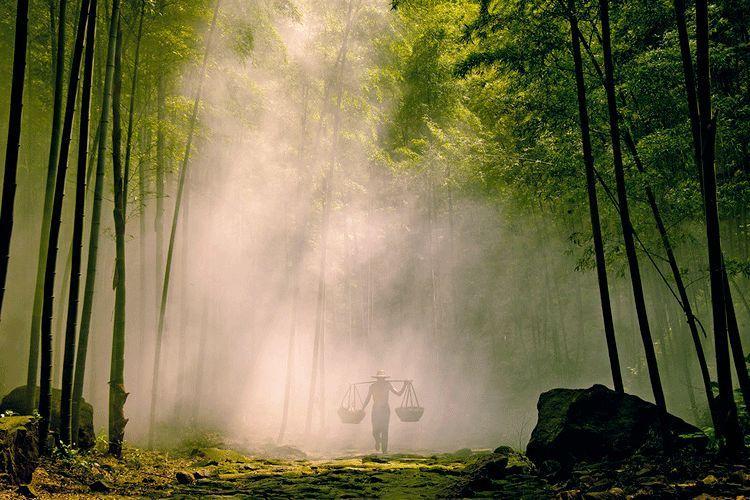 人生只有落魄时才能看透人心,人生有一次落魄其实是一件好事