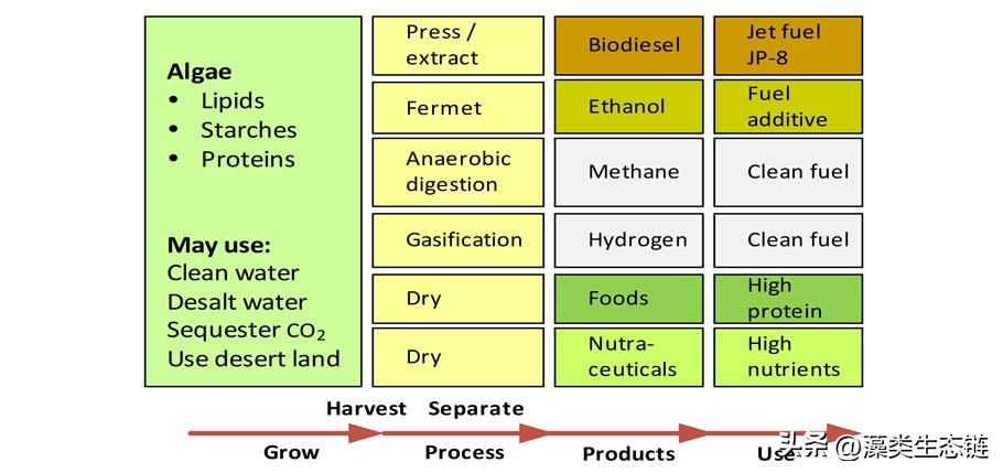 藻类基础知识,鱼塘藻类培养