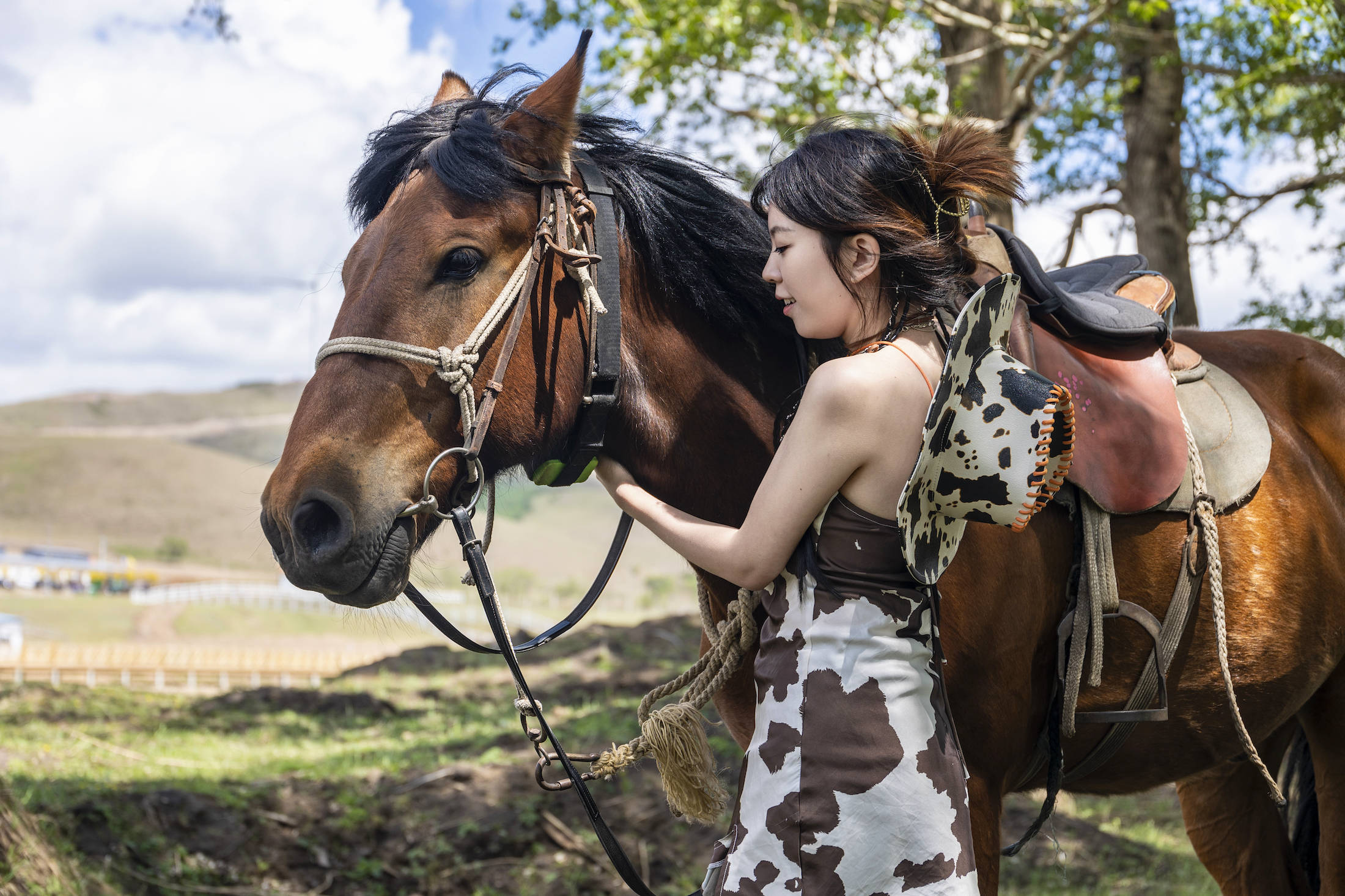 丰宁坝上草原的夏天,丰宁坝上草原夏天景色