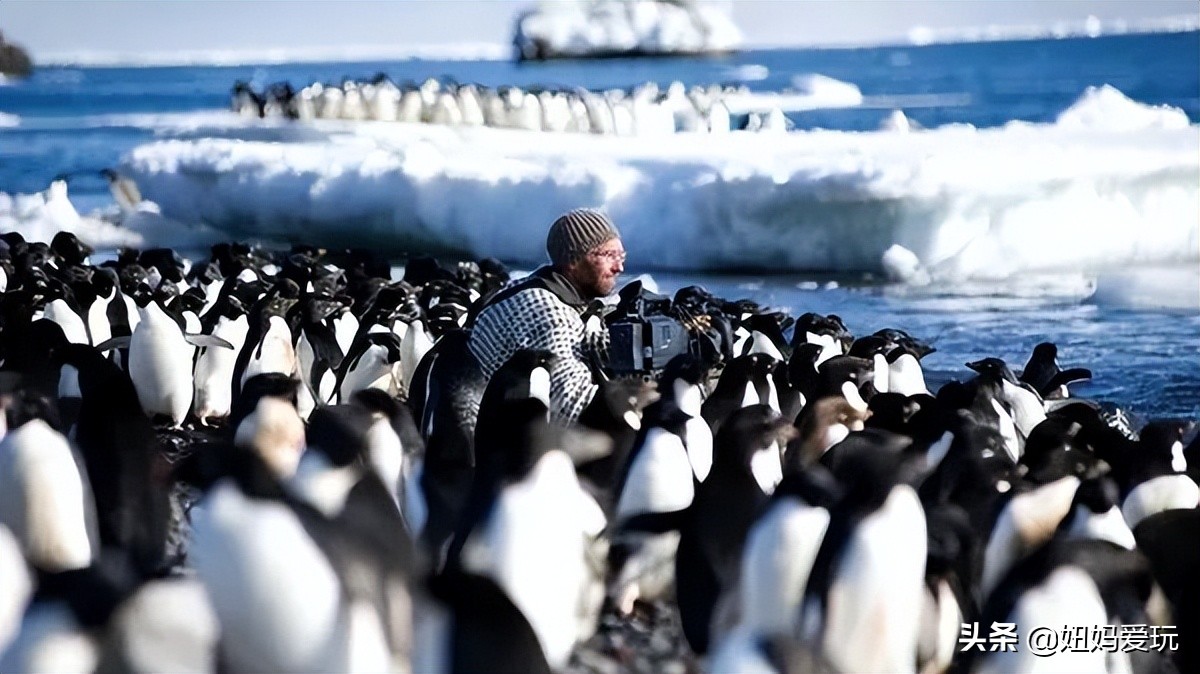 带你真切看人间的宝藏纪录片top10,十一长假适合带孩子看的纪录片