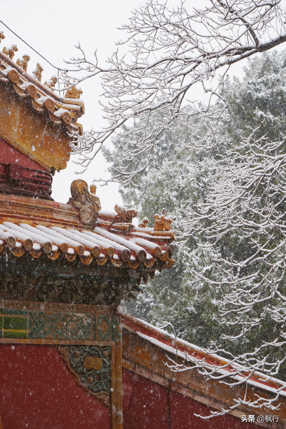 故宫开启雪景模式北京迎今冬初雪,北京下雪去哪里看故宫最好看