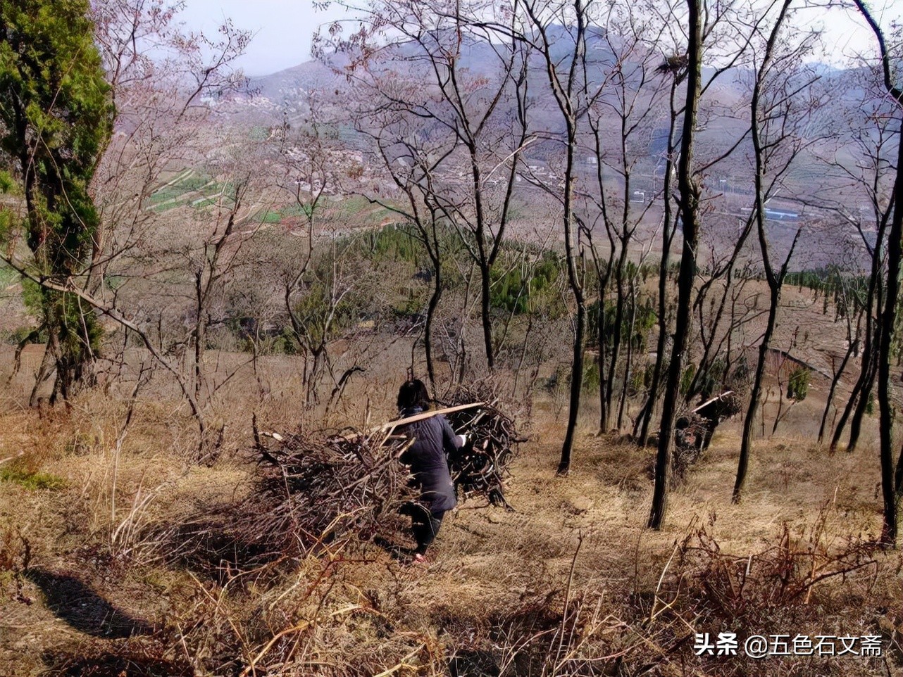 割柴总是这样，饱的时候赶路，饿的时候也得负重前行