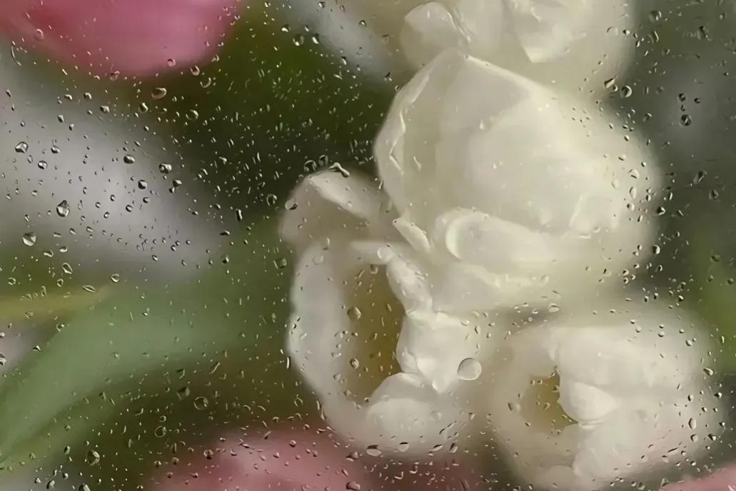 谁又是谁的救赎文案,救赎自己的文案