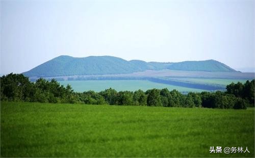 吉林省林业行政执法改革方案,开展林业综合执法和联合执法