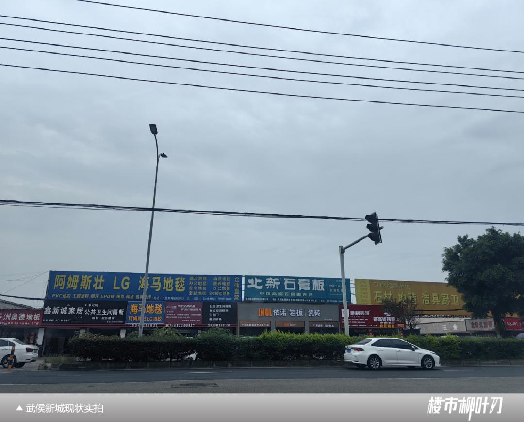 成都武侯新城板块,成都主城区板块分析最新