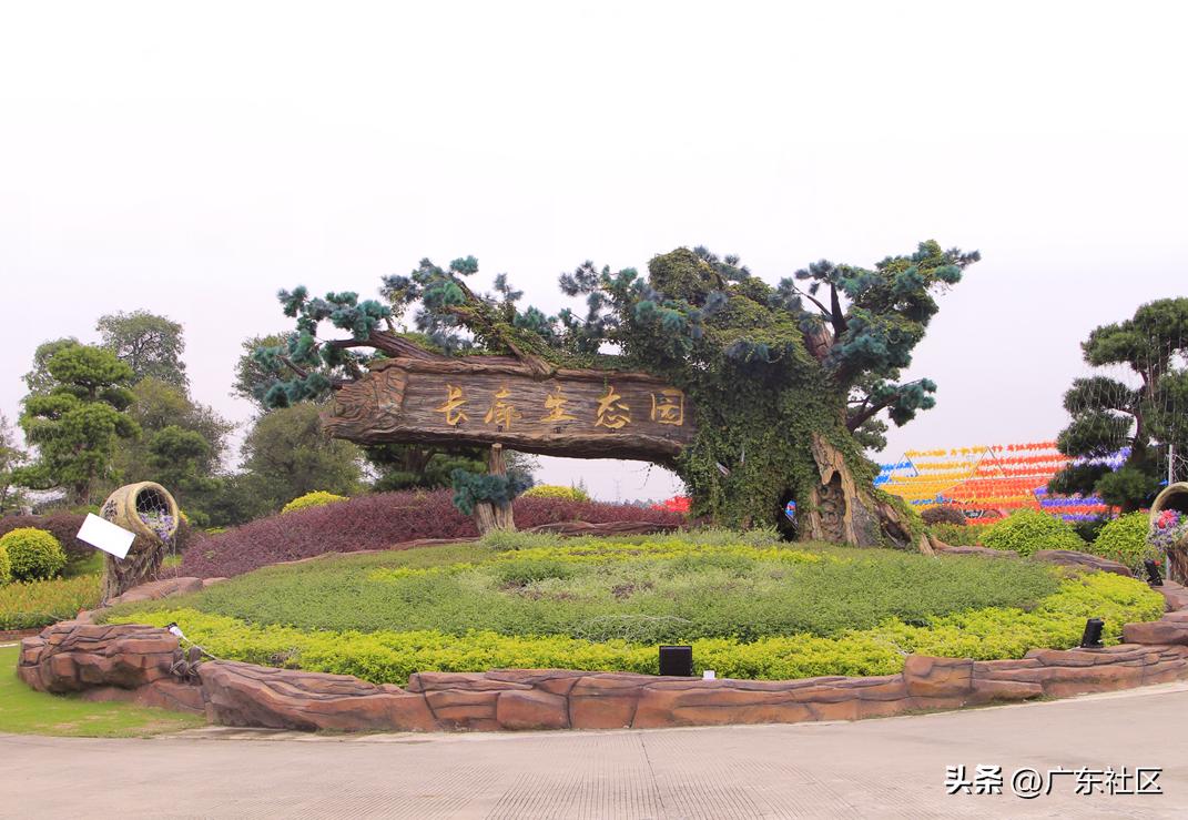 乡村休闲精品在江门：这里藏着个“世外萄园”，快来趣味游园摘果