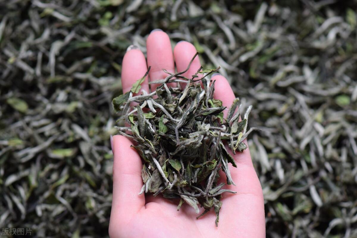 茶叶知识大全茶叶分类图解图片,茶叶基础分类与代表茶叶的区别