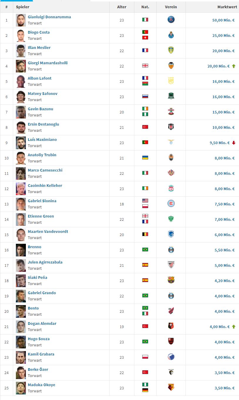 卡塔尔世界杯门将十大排名,卡塔尔世界杯各队门将排名