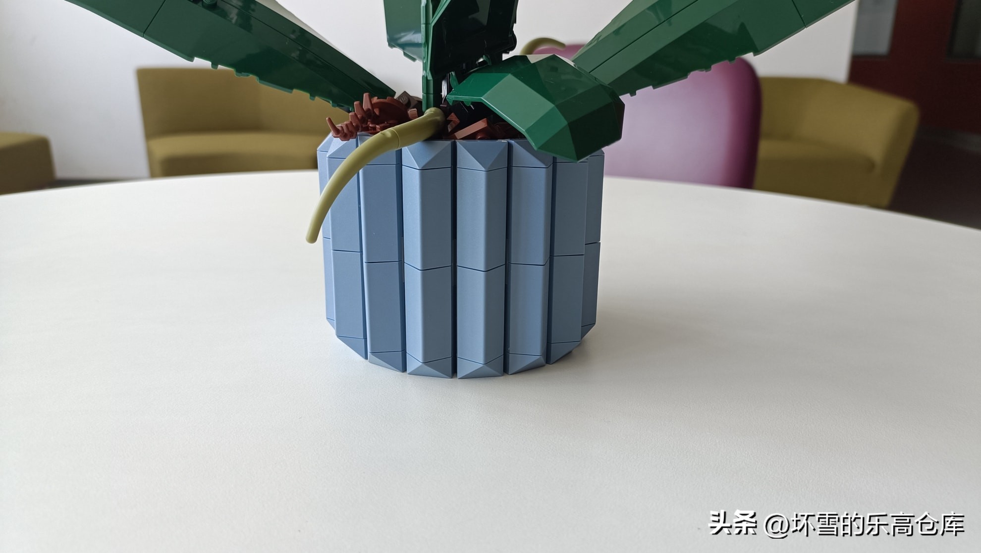 乐高兰花图片及价格,乐高兰花测评