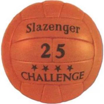 世界杯历史罕见球队,02年世界杯专用足球飞火流星