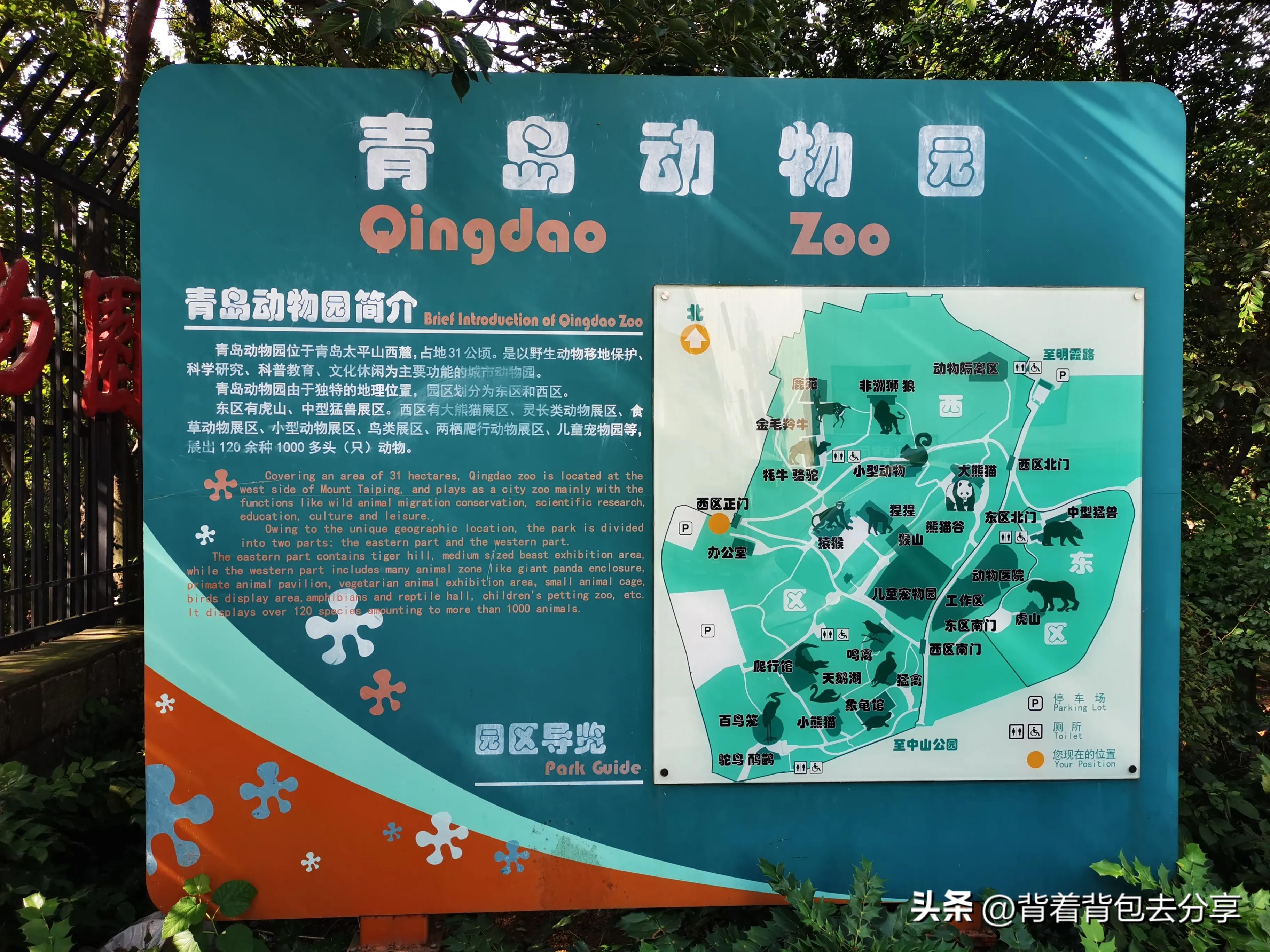 青岛大熊猫动物园8.5元门票预约,青岛动物园8.5元门票预约有熊猫吗